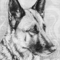 Artwork Berger Allemand 32