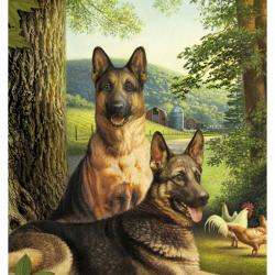 Artwork Berger Allemand 4