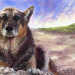 Artwork Berger Allemand 53