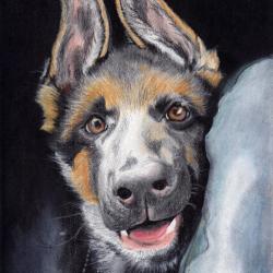 Artwork Berger Allemand 57