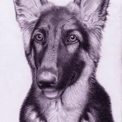 Artwork Berger Allemand 5