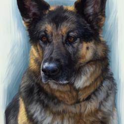 Artwork Berger Allemand 63