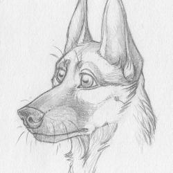 Artwork Berger Allemand 67