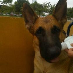 12736043 10208832423472737 389242284 N