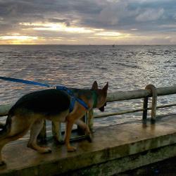 12746177 10208832423512738 1733752950 N