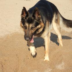 2008 0419april20080090