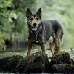 Fb Img 1663456535799