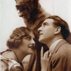 Carte Postale Berger Allemand 29