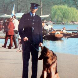 Carte Postale Berger Allemand 35