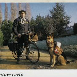 Carte Postale Berger Allemand 3