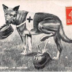 Carte Postale Berger Allemand 40