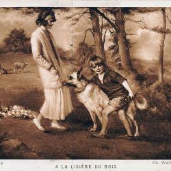 Carte Postale Berger Allemand 45