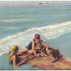 Carte Postale Berger Allemand 51