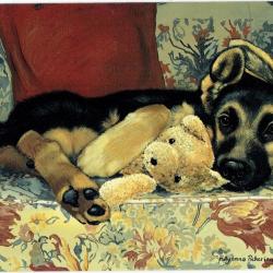 Carte Postale Berger Allemand 61