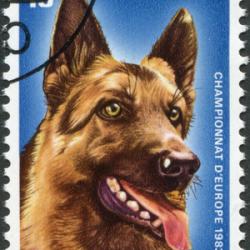 Timbre Berger Allemand 12