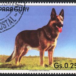 Timbre Berger Allemand 17