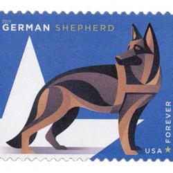 Timbre Berger Allemand 28