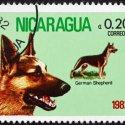 Timbre Berger Allemand 29