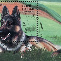 Timbre Berger Allemand 2