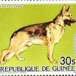 Timbre Berger Allemand 31