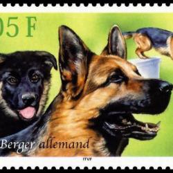 Timbre Berger Allemand 3