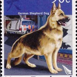 Timbre Berger Allemand 48