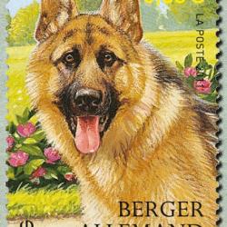 Timbre Berger Allemand 4