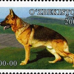 Timbre Berger Allemand 58