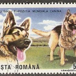 Timbre Berger Allemand 5