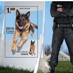 Timbre Berger Allemand 63