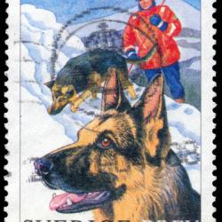 Timbre Berger Allemand 69