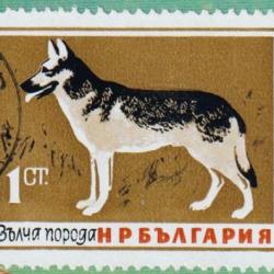 Timbre Berger Allemand 75