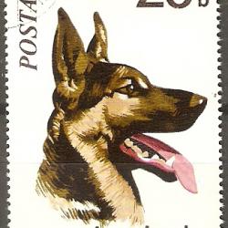 Timbre Berger Allemand 9