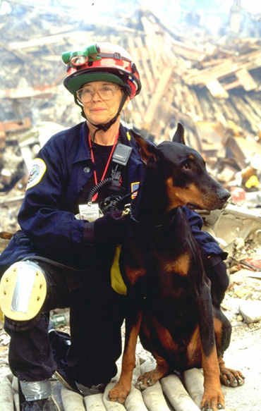sunny chien héros du 11 septembre