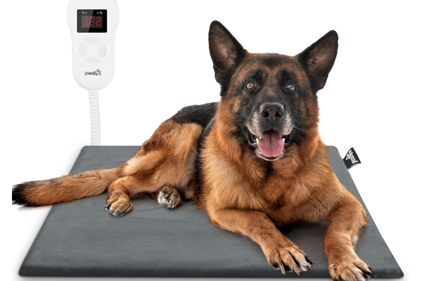 Tapis chauffants : un allié précieux pour les chiens seniors arthrosiques