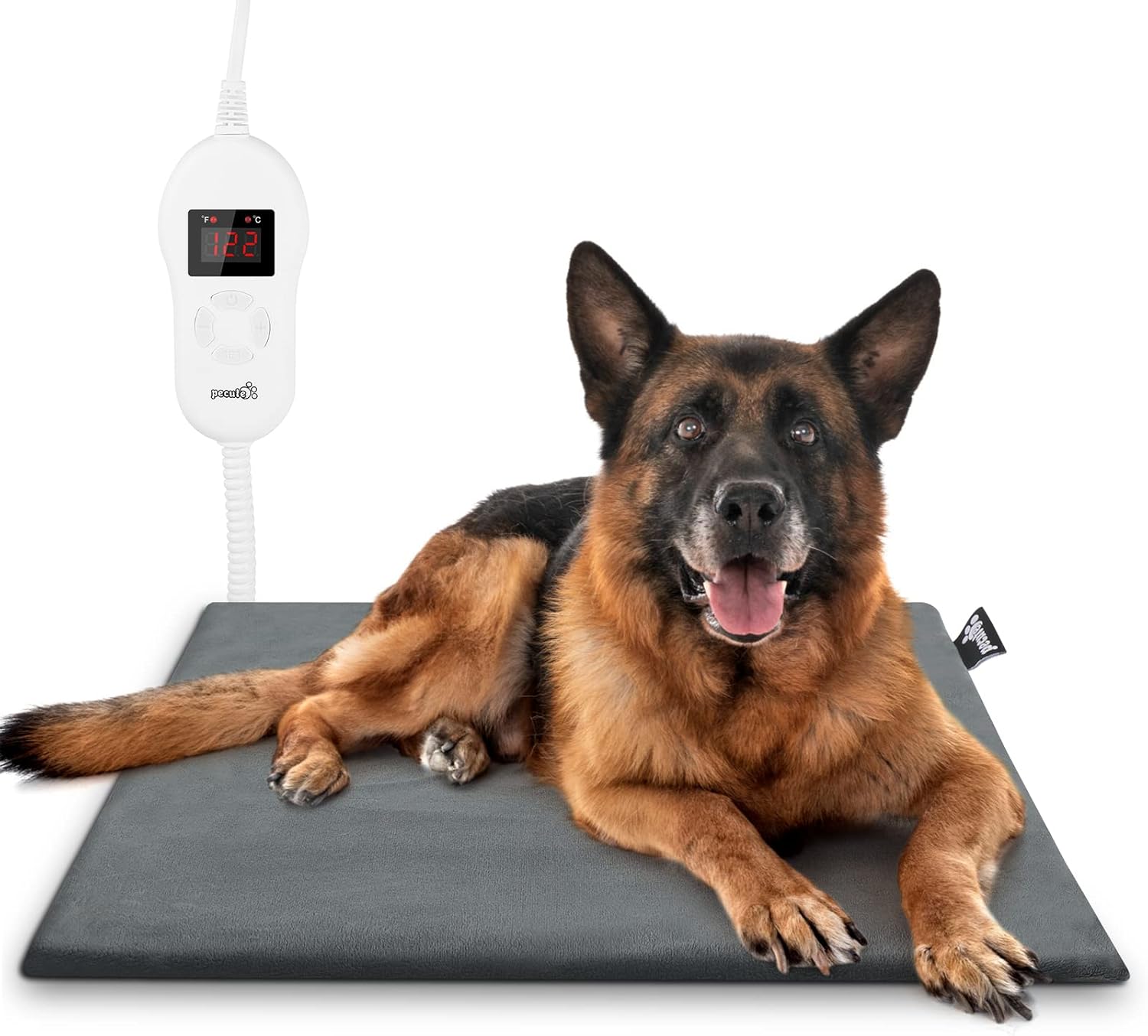 Tapis chauffants : un allié précieux pour les chiens seniors arthrosiques