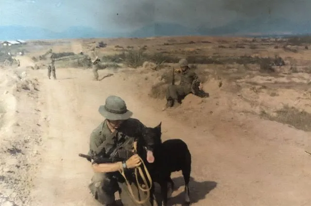 Le rôle d'un maître-chien de reconnaissance au Vietnam mis en lumière