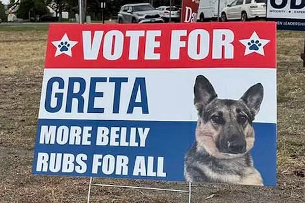 « Votez Greta ! » Quand un Berger Allemand devient le candidat préféré des habitants