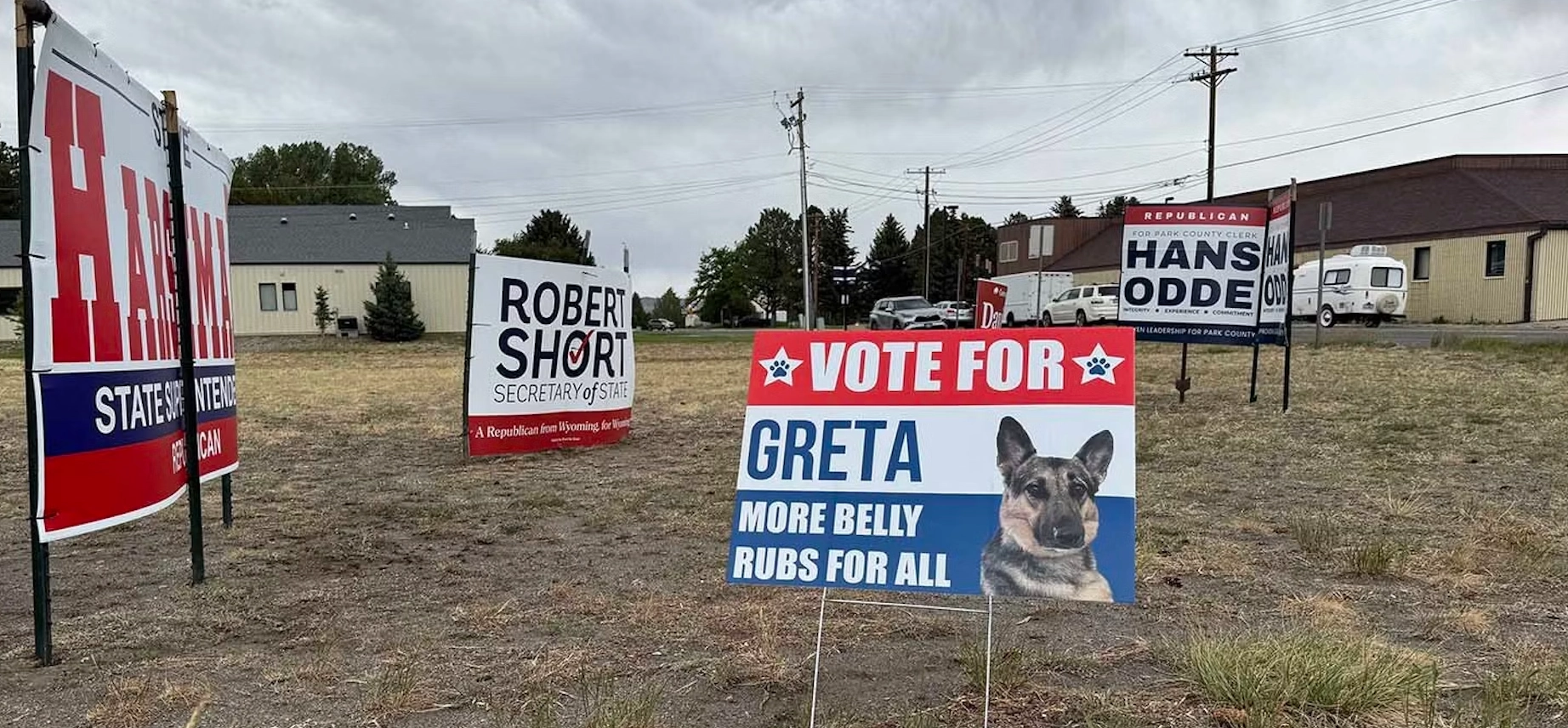 « Votez Greta ! » Quand un Berger Allemand devient le candidat préféré des habitants